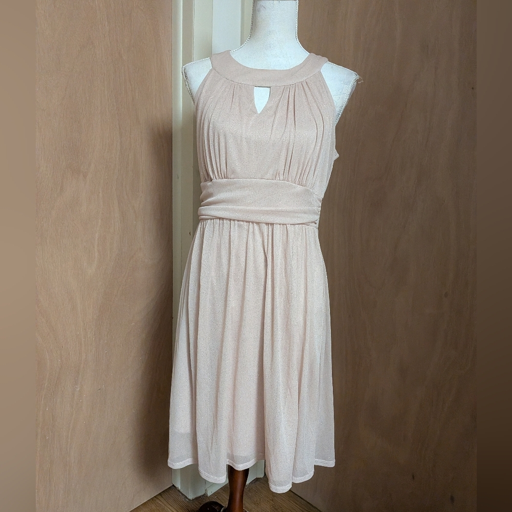 New Focus Studio Champagne Shimmer Empire Dress Size 14